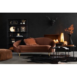 ALMOHADON PLUMAS POLIESTER OXIDO