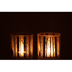 Portavelas árbol cristal marrón surtido de 2 Alt. 15 cm