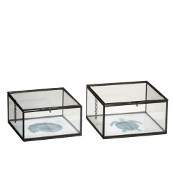 s/2 bte tortue/coq met/ver mix