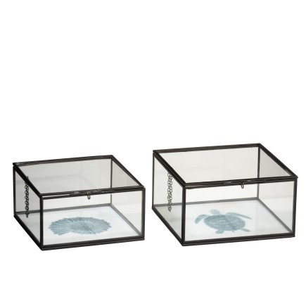 s/2 bte tortue/coq met/ver mix