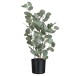 Eucalyptus artificiel dans pot en plastique vert 14x14x60 cm Eucalyptus artificiel dans pot en plastique vert 14x14x60 cm