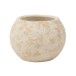 Vaso em cimento creme 23x23x17 cm Vaso em cimento creme 23x23x17 cm