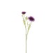 Margarita de plástico morada 16x7x55 cm