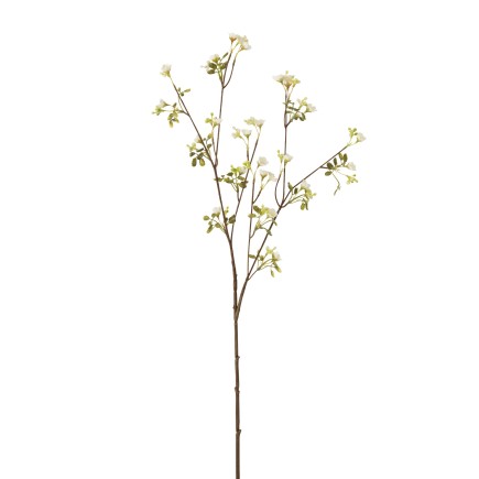 MYOSOTIS PLASTIQUE BLANC