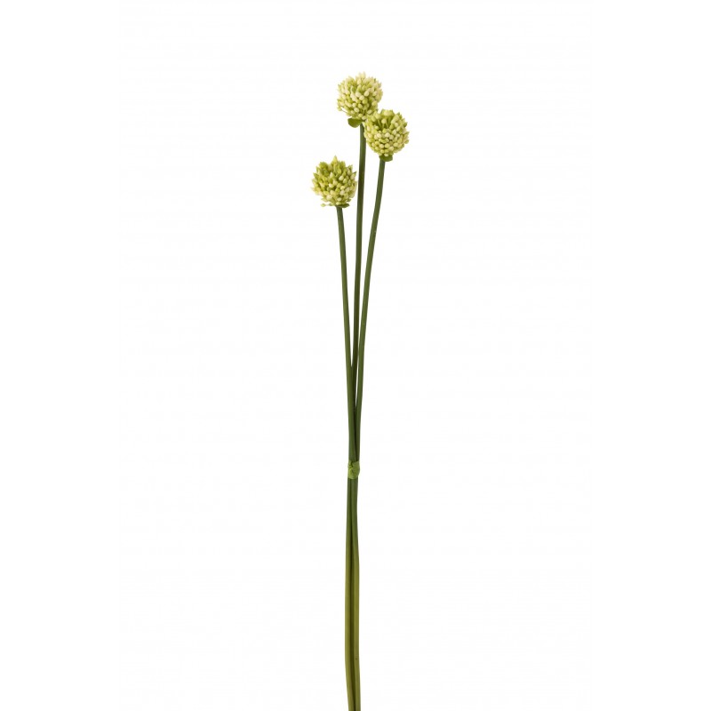 Bouquet d'allium en plastique vert 8x5x66 cm