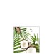 Lot de 20 serviettes avec motif noix de coco en papier blanc et vert 12.5x12.5 Lot de 20 serviettes avec motif noix de coco en papier blanc et vert 12.5x12.5