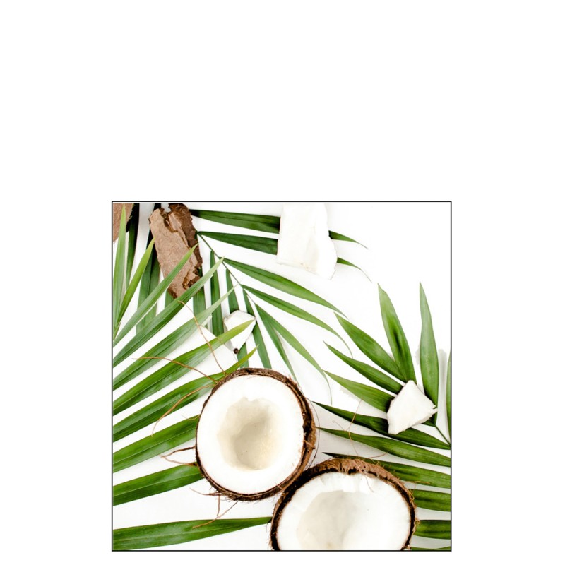Lot de 20 serviettes avec motif noix de coco en papier blanc et vert 16x16