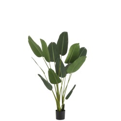 Strelitzia artificiel en plastique vert H189 cm