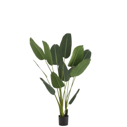 Strelitzia artificiel en plastique vert H189 cm