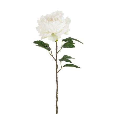 PIVOINE SEULE PLASTIQUE BLANC