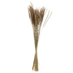 Ramo de pennisetum seco en madera natural de 7.5x7.5x88 cm