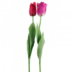 Conjunto de 2 tulipanes de plástico Fucsia 10x5x74 cm