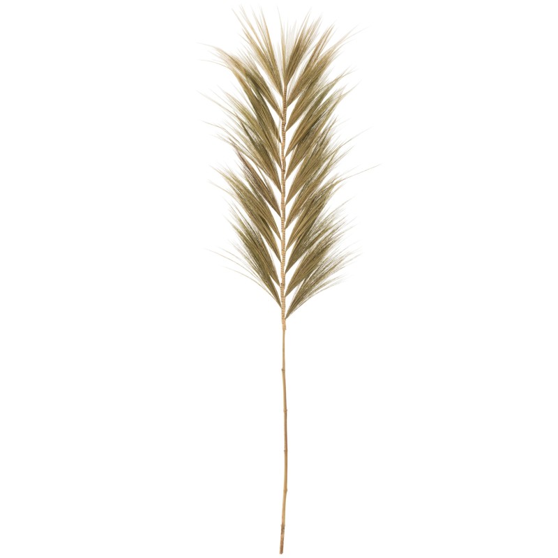 Branche d’herbe naturel 70x4x225cm