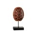 Carapace de tortue sur pied resine marron large