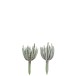 Set de 2 Plantes grasses en plastique vert 7x7x16 cm Set de 2 Plantes grasses en plastique vert 7x7x16 cm