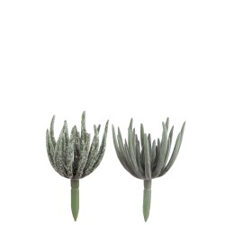 Set de 2 Plantes grasses en plastique vert 9x9x18 cm