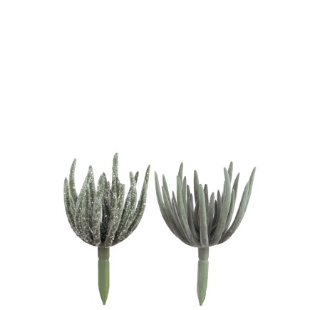 Set de 2 Plantes grasses en plastique vert 9x9x18 cm