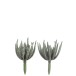 Set de 2 Plantes grasses en plastique vert 9x9x18 cm Set de 2 Plantes grasses en plastique vert 9x9x18 cm