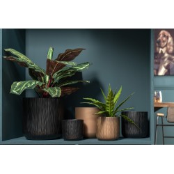 Lot de 2 cache-pots en céramique noire 7x6.5cm