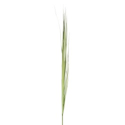 Branche d'herbe en plastique vert H157cm