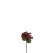 Hydrangea artificielle en plastique marron 12.5x12.5x32 cm Hydrangea artificielle en plastique marron 12.5x12.5x32 cm