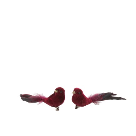 Set de 2 oiseaux avec clip en Plumes Bordeaux 16x5x5 cm