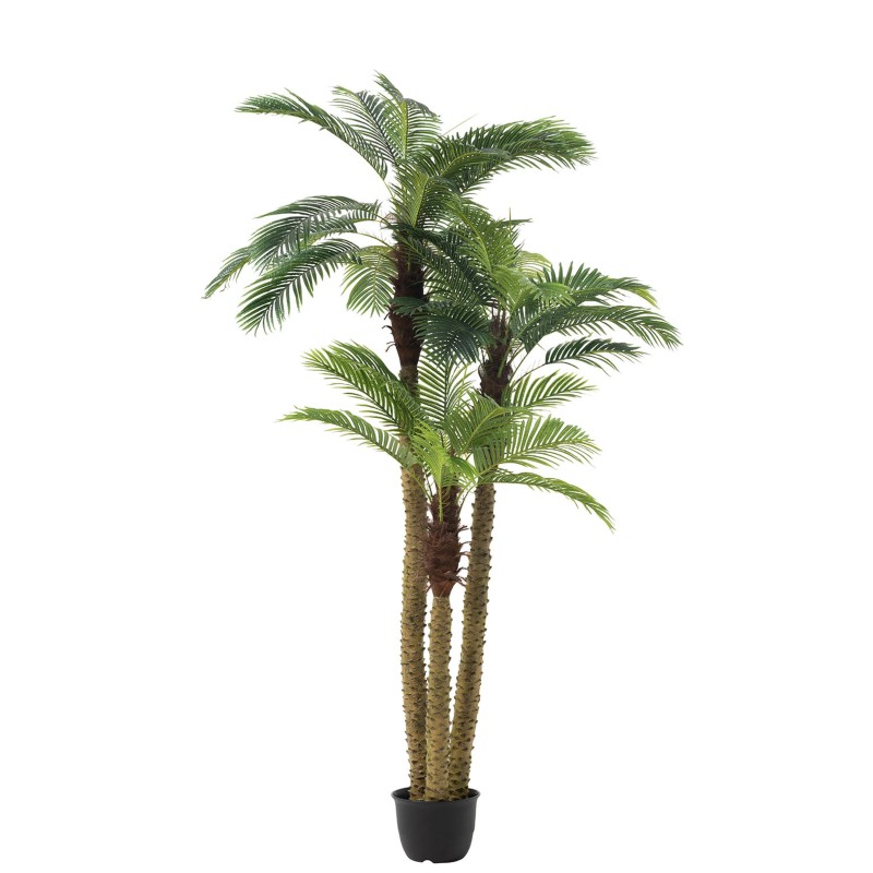 Palma in plastica verde 175x180x300 cm Palma in plastica verde 175x180x300 cm