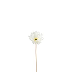 Gerbera en plastique blanc 23x10x10 cm