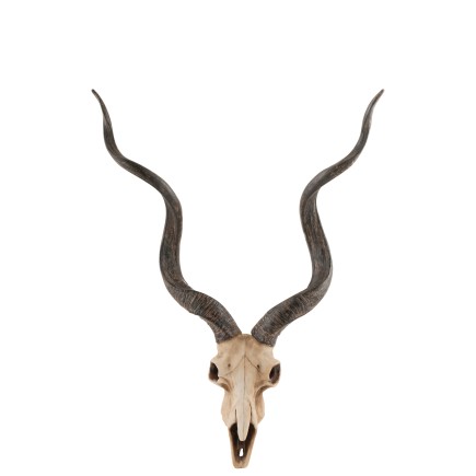 CRANE CHEVRE RESINE MARRON