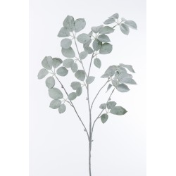 Rama de schefflera cubierta de plástico verde 4x35x120 cm