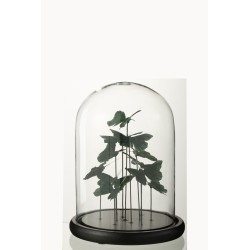 Cloche avec papillon en verre vert 23x23x29 cm