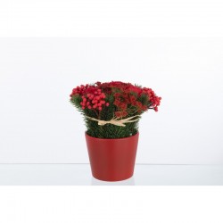 Rosas con bayas en maceta de cemento rojo de 20x20x25 cm