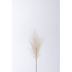 Branche en plastique beige 13x4x70 cm