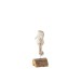 Hipocampo de pie de madera blanca y natural L7*l6*H20cm
