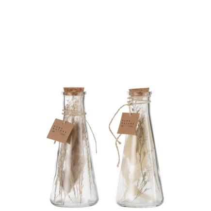 Set de 2 bouteilles fleurs séchées en verre naturel 8x8x19 cm
