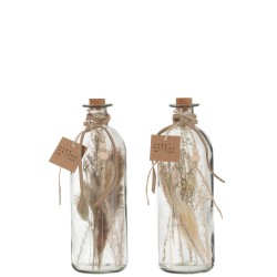 Set de 2 bouteilles fleurs séchées en verre naturel 8x8x21 cm