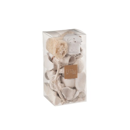 Boite de noix séchée en bois blanc 10x10x20 cm