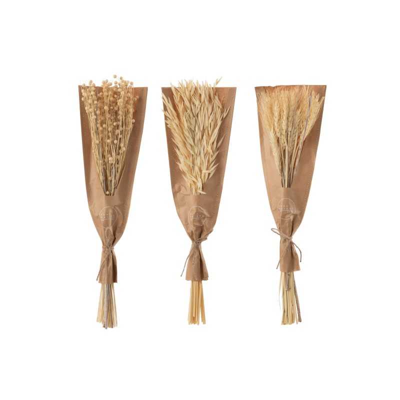Lot de 3 bouquets de fleurs séchées en bois naturel 14x10x45 cm
