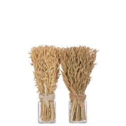 Lot de 2 bouquets d’herbes séchées en bois naturel 10x10x31 cm