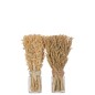 Lot de 2 bouquets d’herbes séchées en bois naturel 10x10x31 cm Lot de 2 bouquets d’herbes séchées en bois naturel 10x10x31 cm