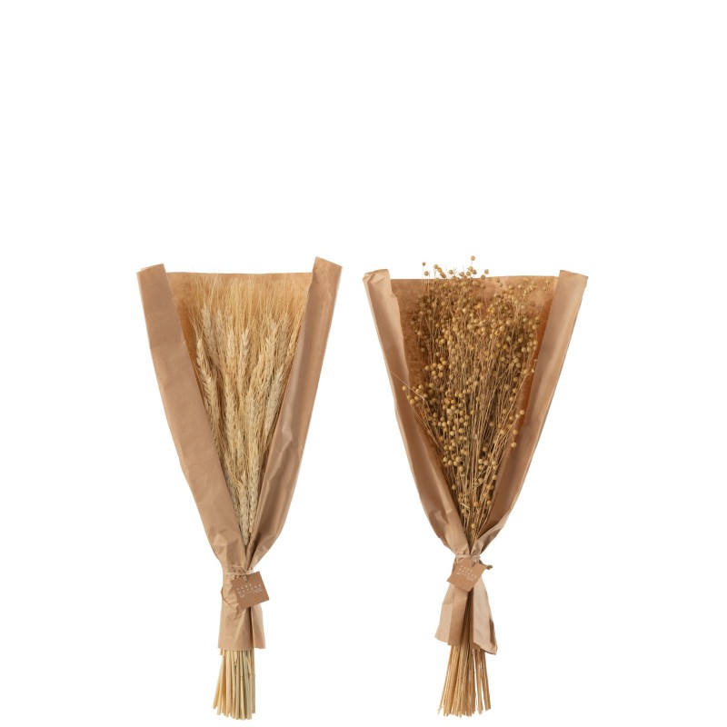Lot de 2 bouquets d’herbes séchées en bois naturel 21x15x60 cm