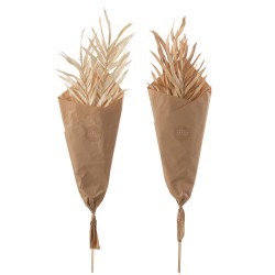 Lot de 2 bouquets de feuilles séchées en bois naturel 15x5x102 cm