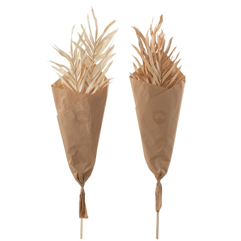 Lot de 2 bouquets de feuilles séchées en bois naturel 15x5x102 cm