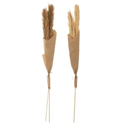 Lot de 2 bouquets de plumes de pampas en bois naturel 11x5x146 cm