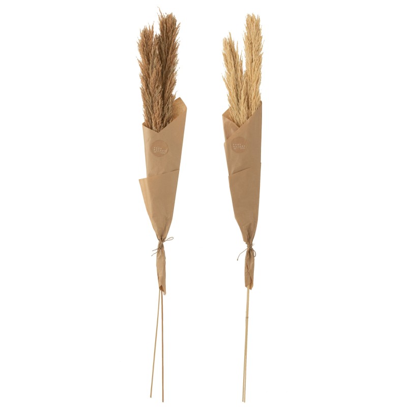 Lot de 2 bouquets de plumes de pampas en bois naturel 11x5x146 cm Lot de 2 bouquets de plumes de pampas en bois naturel 11x5x146 cm