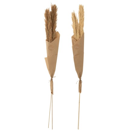 Lot de 2 bouquets de plumes de pampas en bois naturel 11x5x146 cm