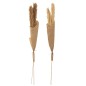 Lot de 2 bouquets de plumes de pampas en bois naturel 11x5x146 cm Lot de 2 bouquets de plumes de pampas en bois naturel 11x5x146 cm