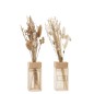 Set de 2 huiles parfumées avec branches en verre naturel 9x6x28 cm Set de 2 huiles parfumées avec branches en verre naturel 9x6x28 cm