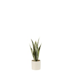 Pot de sansevieria artificiel en plastique vert 8x8x28 cm
