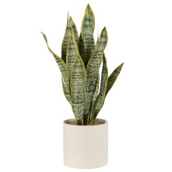 Maceta de sansevieria artificial de plástico verde de 16x16x59 cm